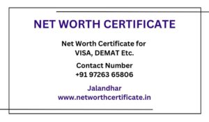 Net Worth Certificate Service in Jalandhar