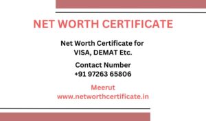 Net Worth Certificate Service in Meerut