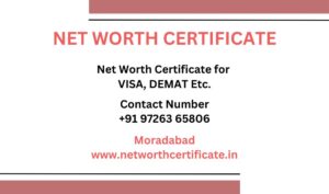 Net Worth Certificate Service in Moradabad