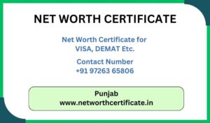 Net Worth Certificate Service in Punjab