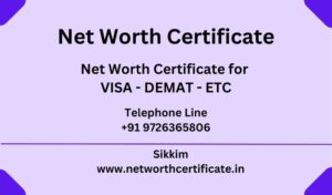 Net Worth Certificate Service in Sikkim