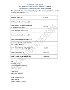 Company Net Worth Report by CA